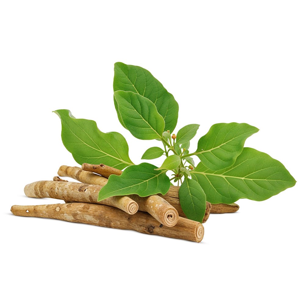 Ashwagandha Benefits